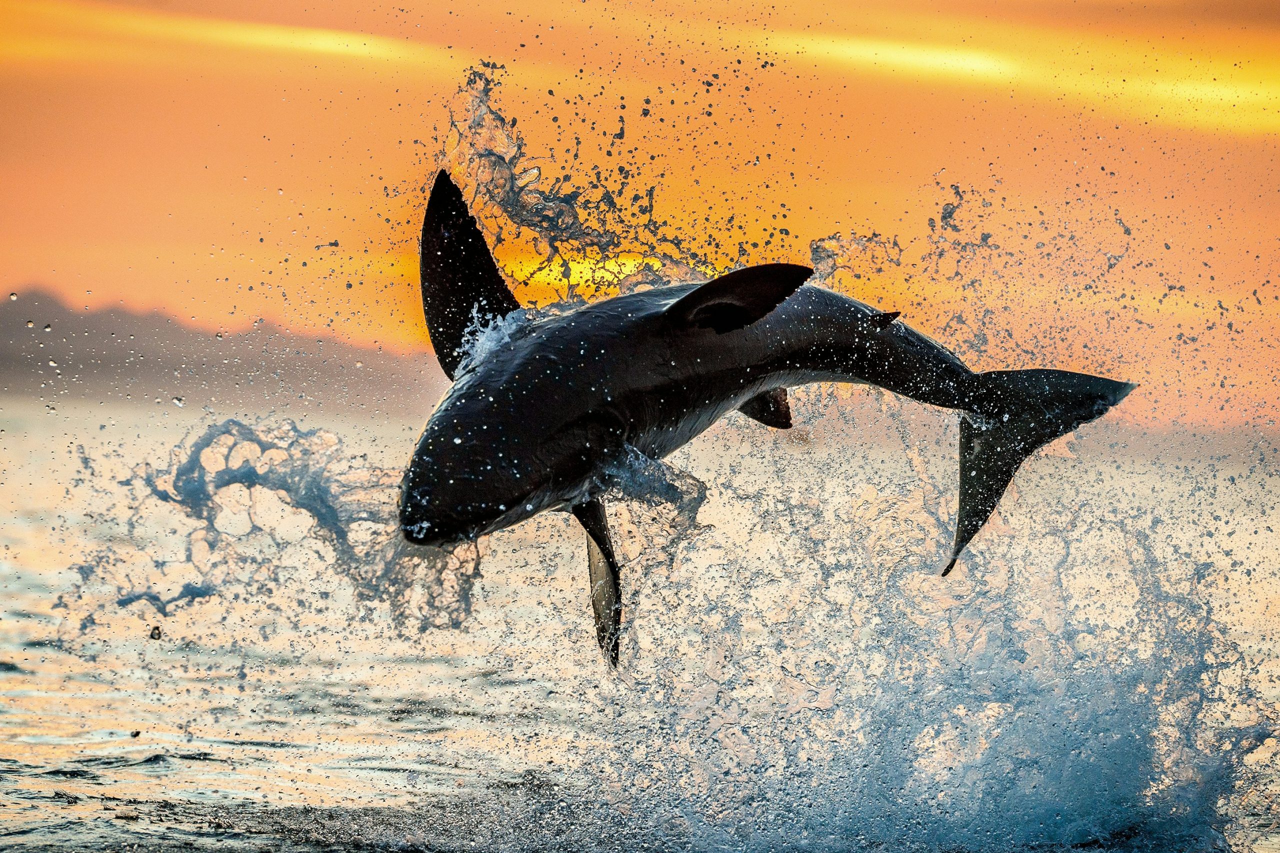 getty-images-GcFMKcYHrlo-unsplash